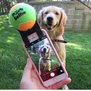 Capture the Perfect Selfie with Your Pet